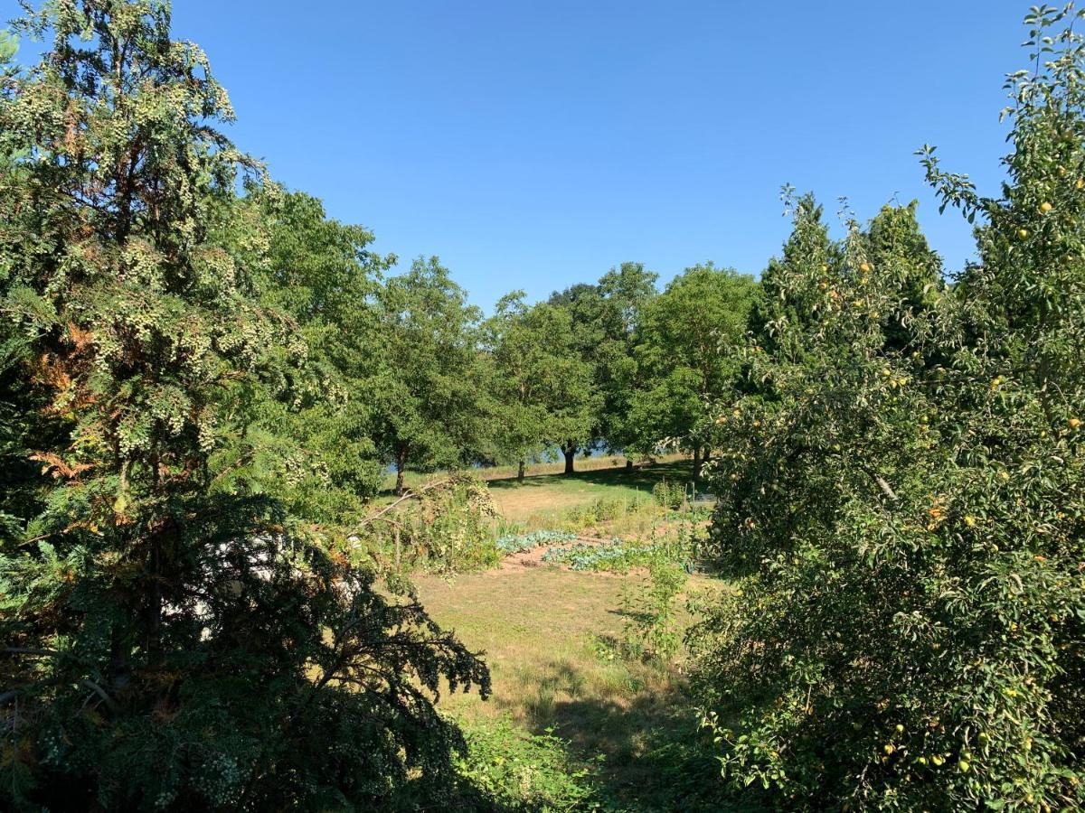 Vias Ferienwohnungen Pünderich Exterior foto