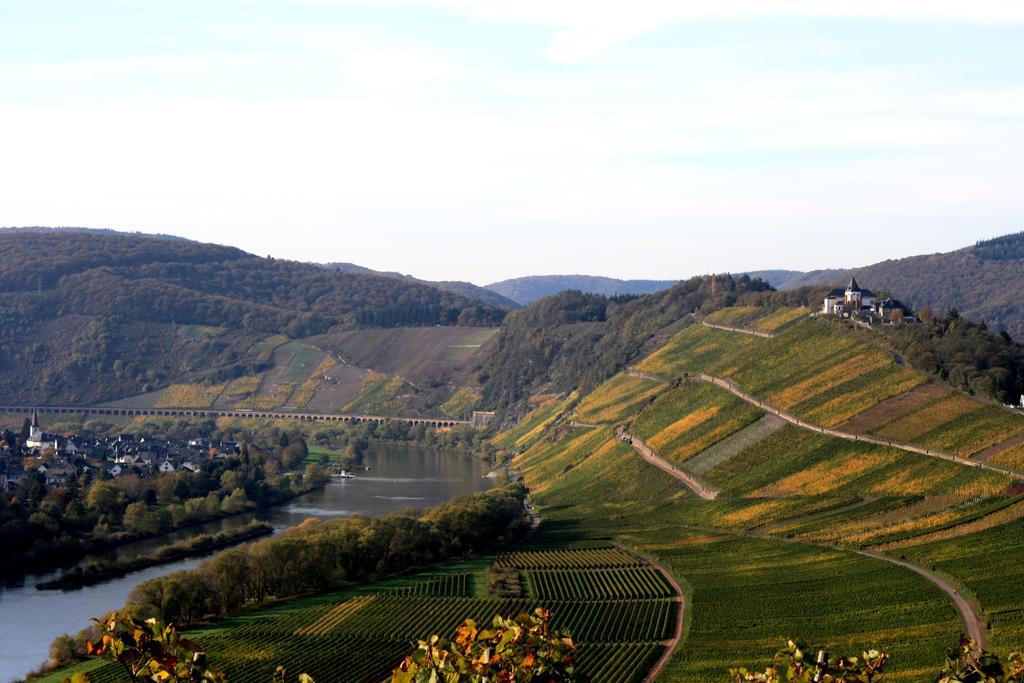 Vias Ferienwohnungen Pünderich Exterior foto